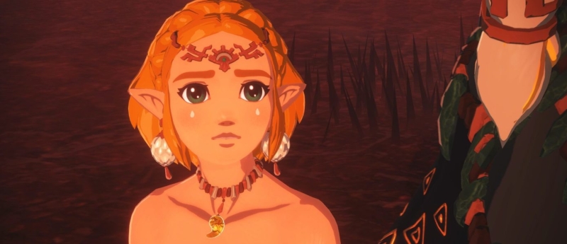 Hyrule Warriors: Age of Imprisonment возглавила японский чарт, Nintendo Switch 2 укрепляет позиции перед новогодними праздниками